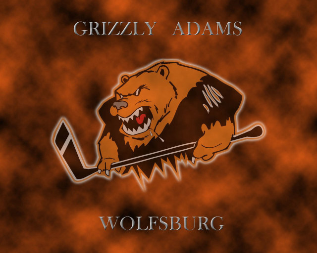 Grizzly logo bear hockey stick free wallpaper - medium preview image