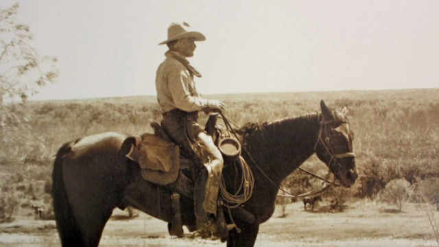 Cowboy hat man horse field free wallpaper - medium preview image