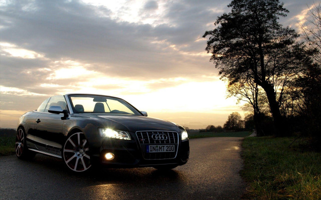 Black car sunset tree cloudy free wallpaper - medium preview image