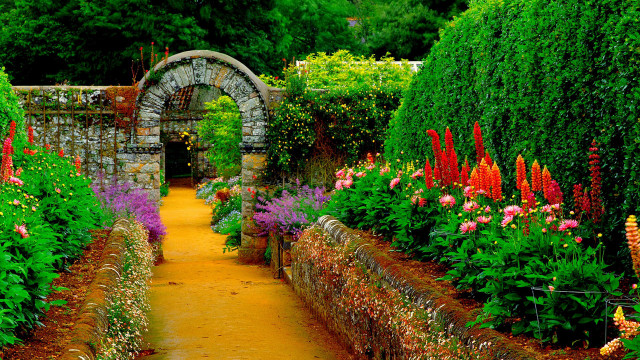 Garden stone arch colorful flowers free wallpaper - medium preview image