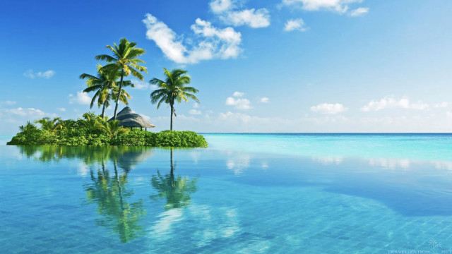 Tropical island palm trees hut #3 free wallpaper - medium preview image