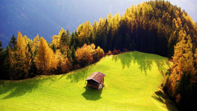 Small house field trees mountains free wallpaper - medium preview image