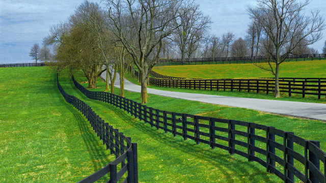 Black fence grassy field road free wallpaper - medium preview image