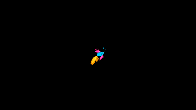 Colorful bird rainbow tail dark free wallpaper - medium preview image