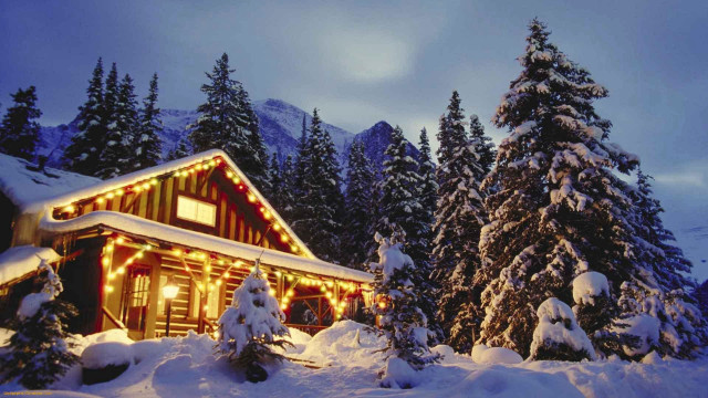 Cabin christmas lights snow trees free wallpaper - medium preview image