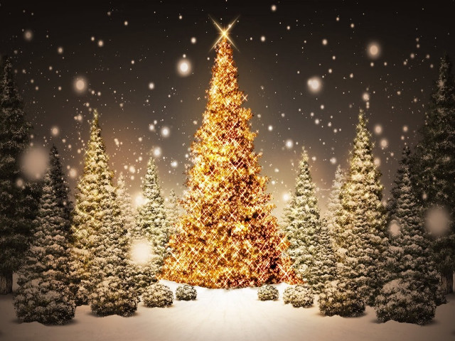 Christmas tree snowy landscape snow free wallpaper - medium preview image