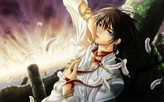 Anime character sword bird flying free wallpaper - medium preview image