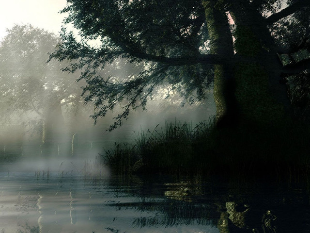 Lake tree fog ducks water free wallpaper - medium preview image