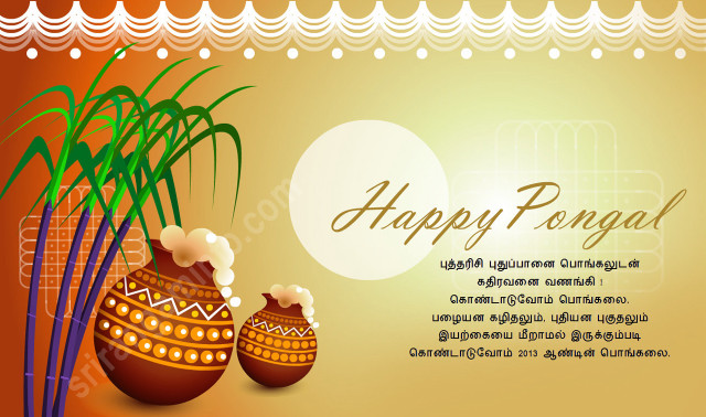 Happy pongal two vases plant free wallpaper - medium preview image