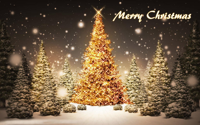 Christmas tree lit snow merry free wallpaper - medium preview image