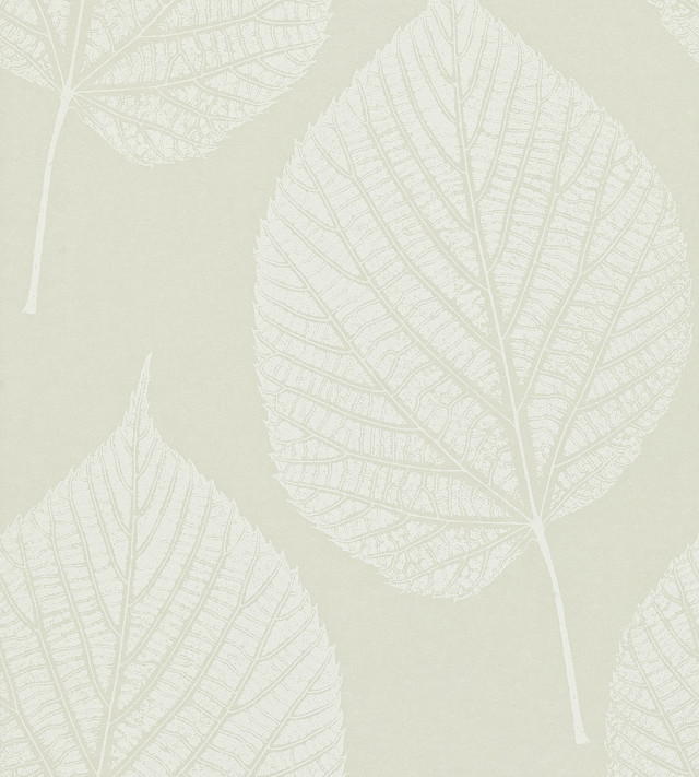 Leaf pattern white background light free wallpaper - medium preview image