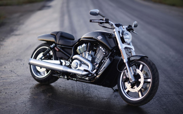 Motorcycle parked wet road forest free wallpaper - medium preview image