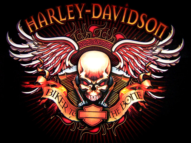 Skull wings banner back side free wallpaper - medium preview image