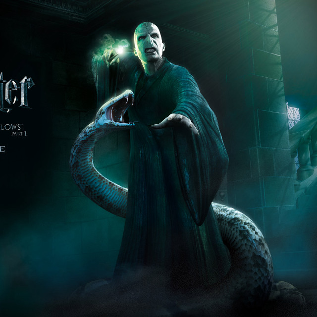 Man robed snake greenlight honeycomb free wallpaper - medium preview image