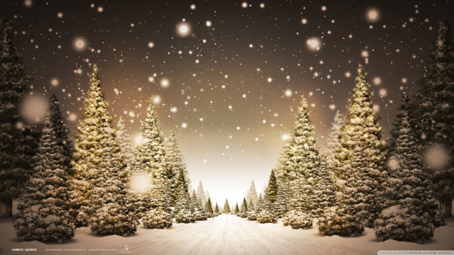 Snowy trees falling snowflakes ground free wallpaper - medium preview image
