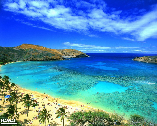 Beach blue water palm trees #4 free wallpaper for desktop - medium preview image