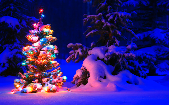 Christmas tree snow blue background free wallpaper - medium preview image
