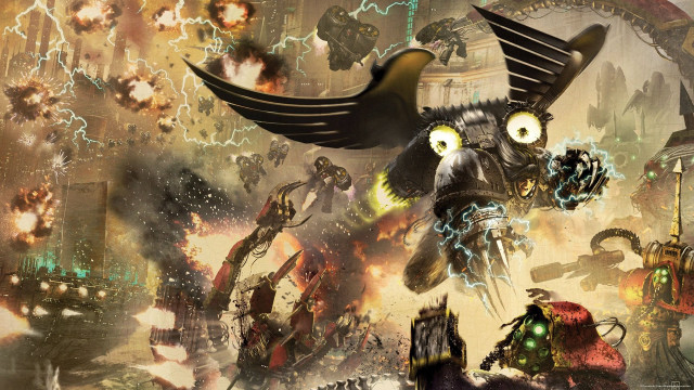 Bird huge beak huge eyeball free wallpaper - medium preview image