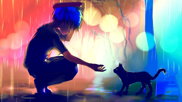 Boy kneeling cat rain colorful free wallpaper - medium preview image