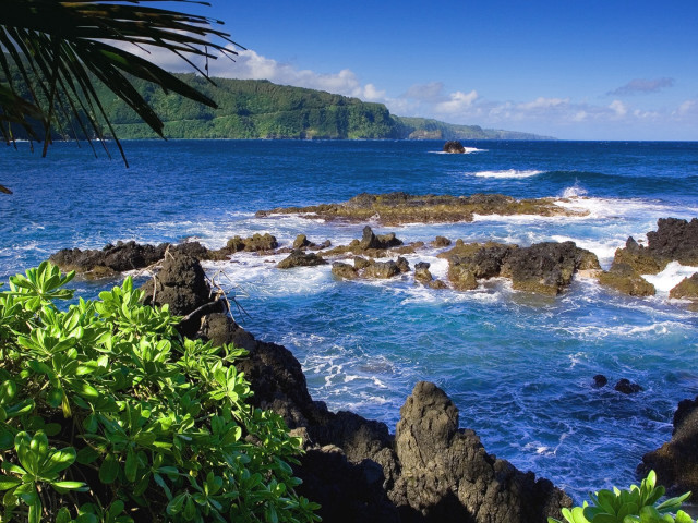 Rocky beach waves crashing trees free wallpaper - medium preview image
