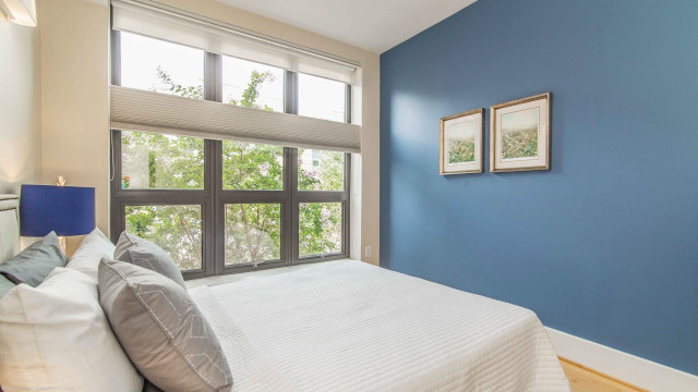 Bedroom window trees blue wall free wallpaper - medium preview image