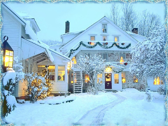 White house christmas tree lights free wallpaper - medium preview image