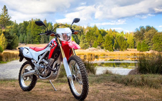 Motorcycle lake dirt road forest free wallpaper - medium preview image