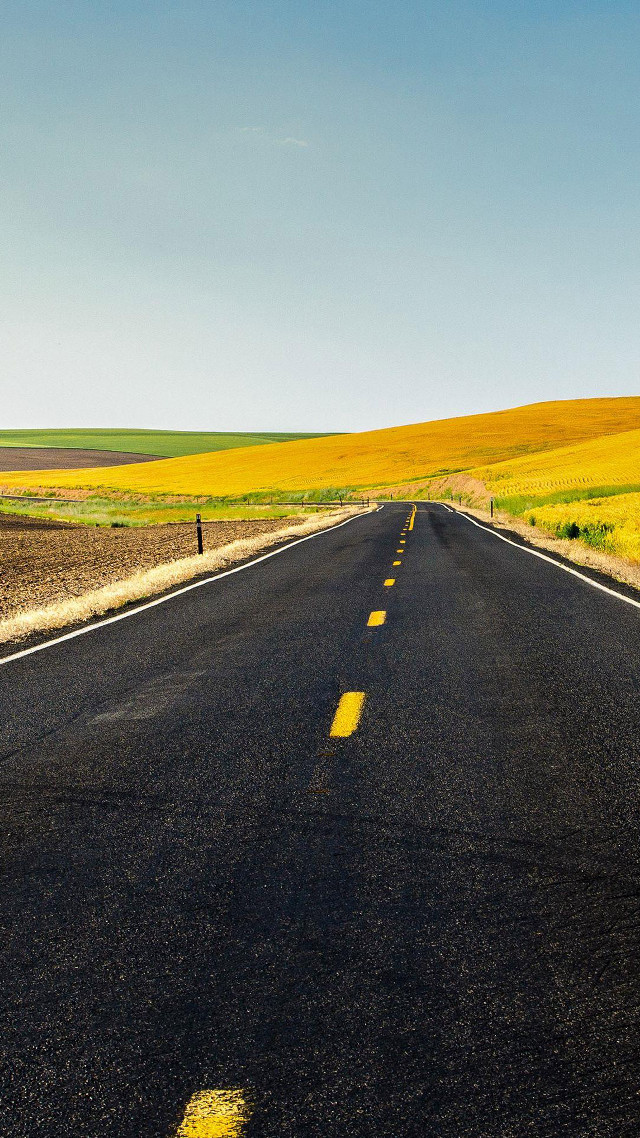 Long road yellow line field free wallpaper - medium preview image