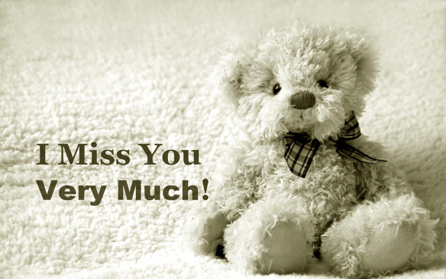Teddy bear blanket i miss free wallpaper - medium preview image