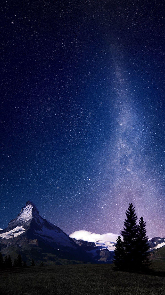 Night sky mountain tree foreground free wallpaper - medium preview image