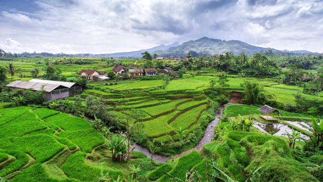Lush green field river houses free wallpaper - medium preview image