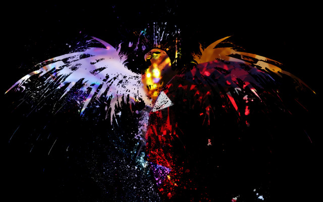 Colorful bird wings dark sky free wallpaper - medium preview image