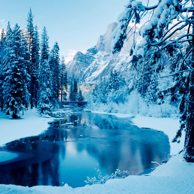 Snowy landscape river trees mountain free wallpaper - medium preview image