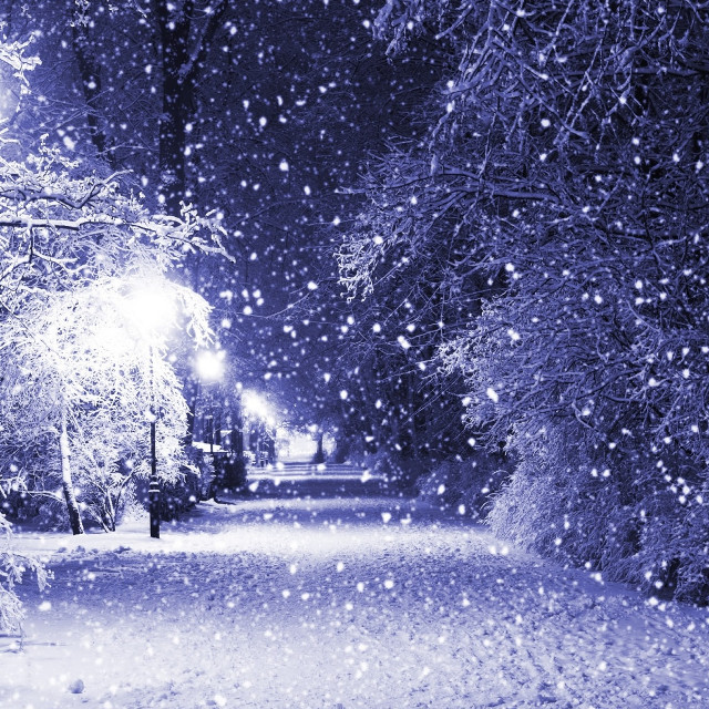 Snowy night streetlight trees falling free wallpaper - medium preview image