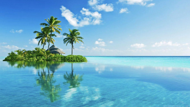 Tropical island palm trees hut #2 free wallpaper - medium preview image