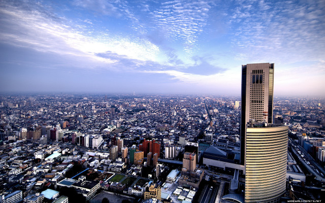 Tokyo cityscape tower bridge night free wallpaper - medium preview image