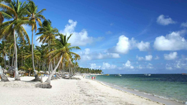 Beach palm trees boats sunny free wallpaper - medium preview image