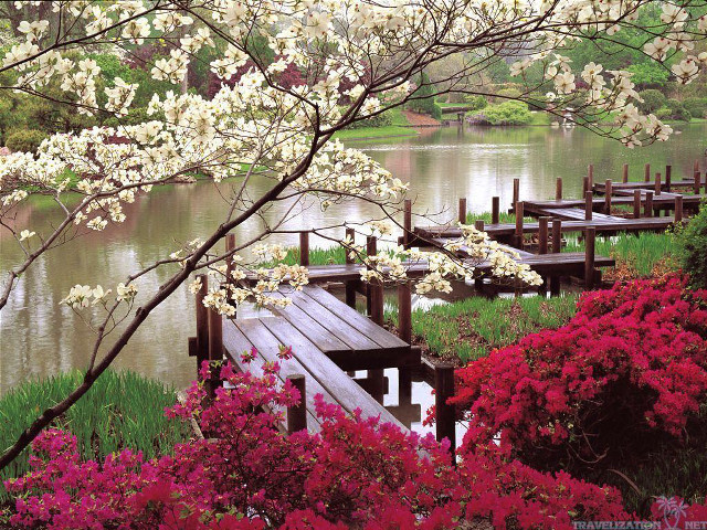 Wooden dock flowers trees background free wallpaper - medium preview image