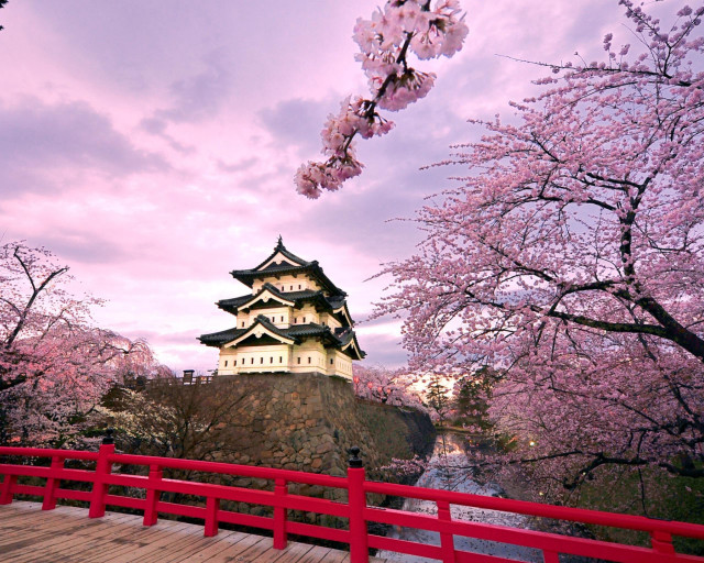Red bridge castle cherry blossoms #3 free wallpaper - medium preview image