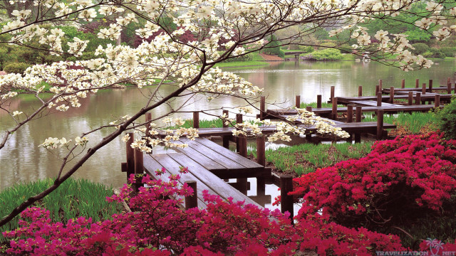 Wooden dock flowers trees background #2 free wallpaper - medium preview image
