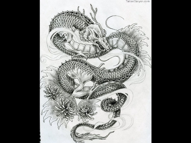 Dragon tattoo design paper dragon free wallpaper - medium preview image
