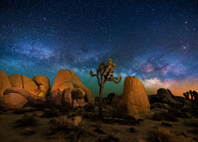 Night sky stars tree rocks free wallpaper - medium preview image