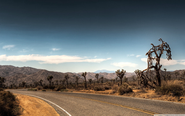 Road cactus mountains clouds sky free wallpaper - medium preview image