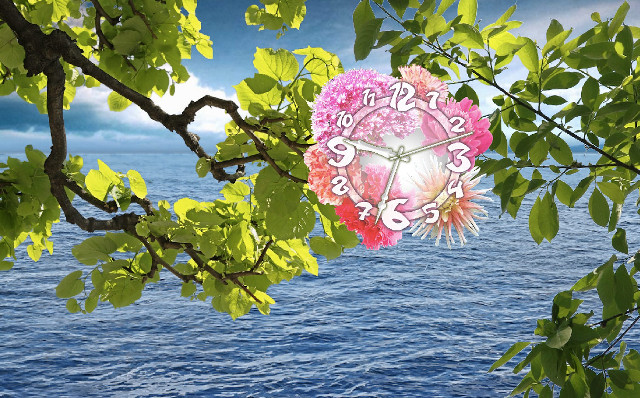 Clock tree water sky background free wallpaper - medium preview image