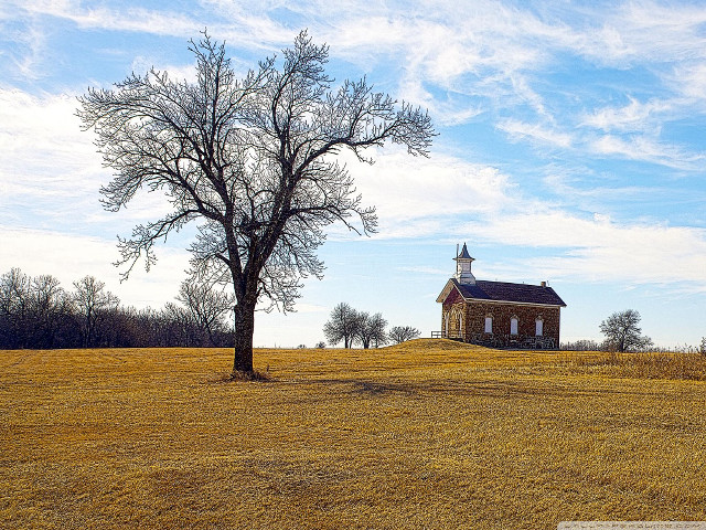 Lone tree field church sunny free wallpaper - medium preview image