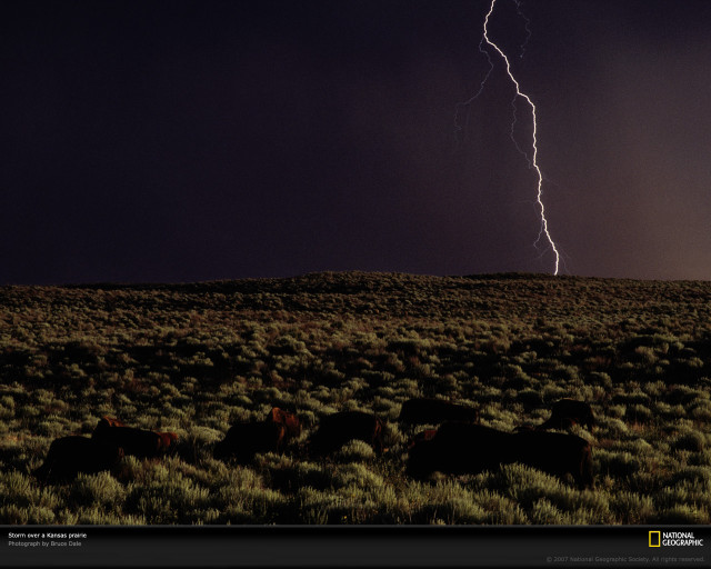 Lightning strike field grass bushes free wallpaper - medium preview image