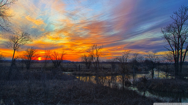 Sunset marsh trees water blue free wallpaper - medium preview image