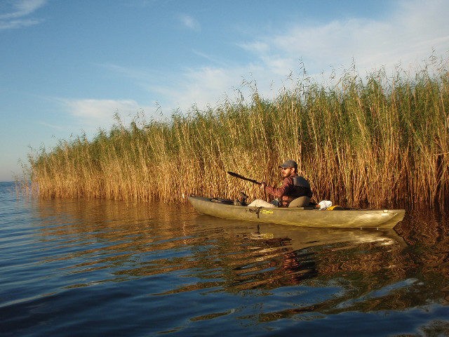 Canoe man tall grass lake free wallpaper - medium preview image