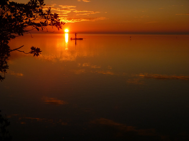 Boat sunset water tree foreground free wallpaper - medium preview image