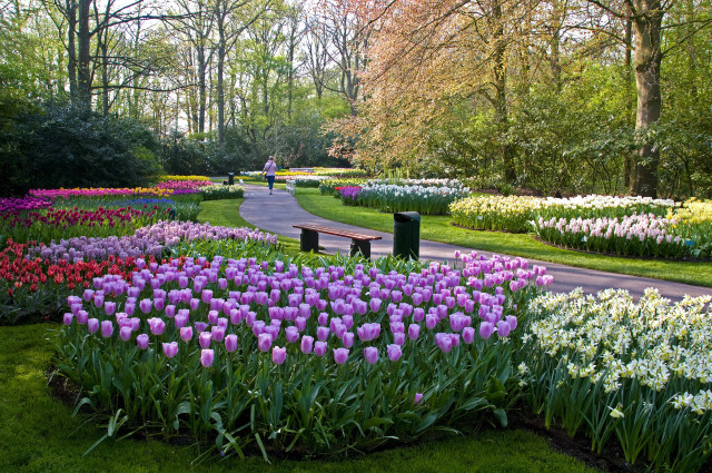 Park flowers bench trees nature free wallpaper - medium preview image